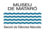 Museu de Mataró -Secció de Ciències Naturals